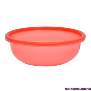 Chậu 3T Thái Nhũ